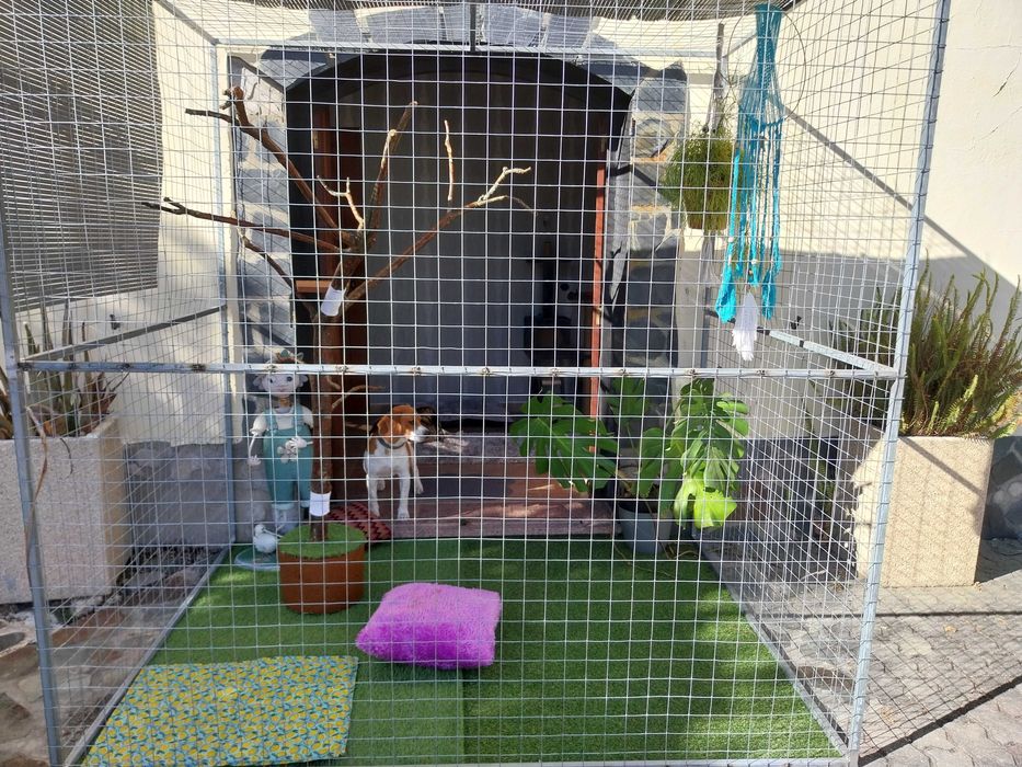 Pet Sitter - Hospedagem Familiar para Cães e Gatos