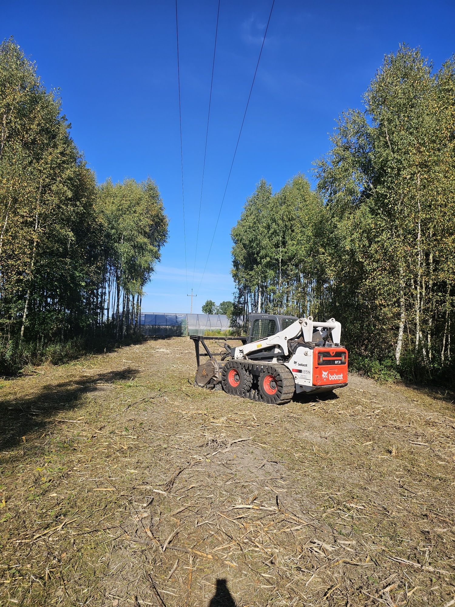 Mulczer leśny Bobcat, karczowanie, mulczowanie.