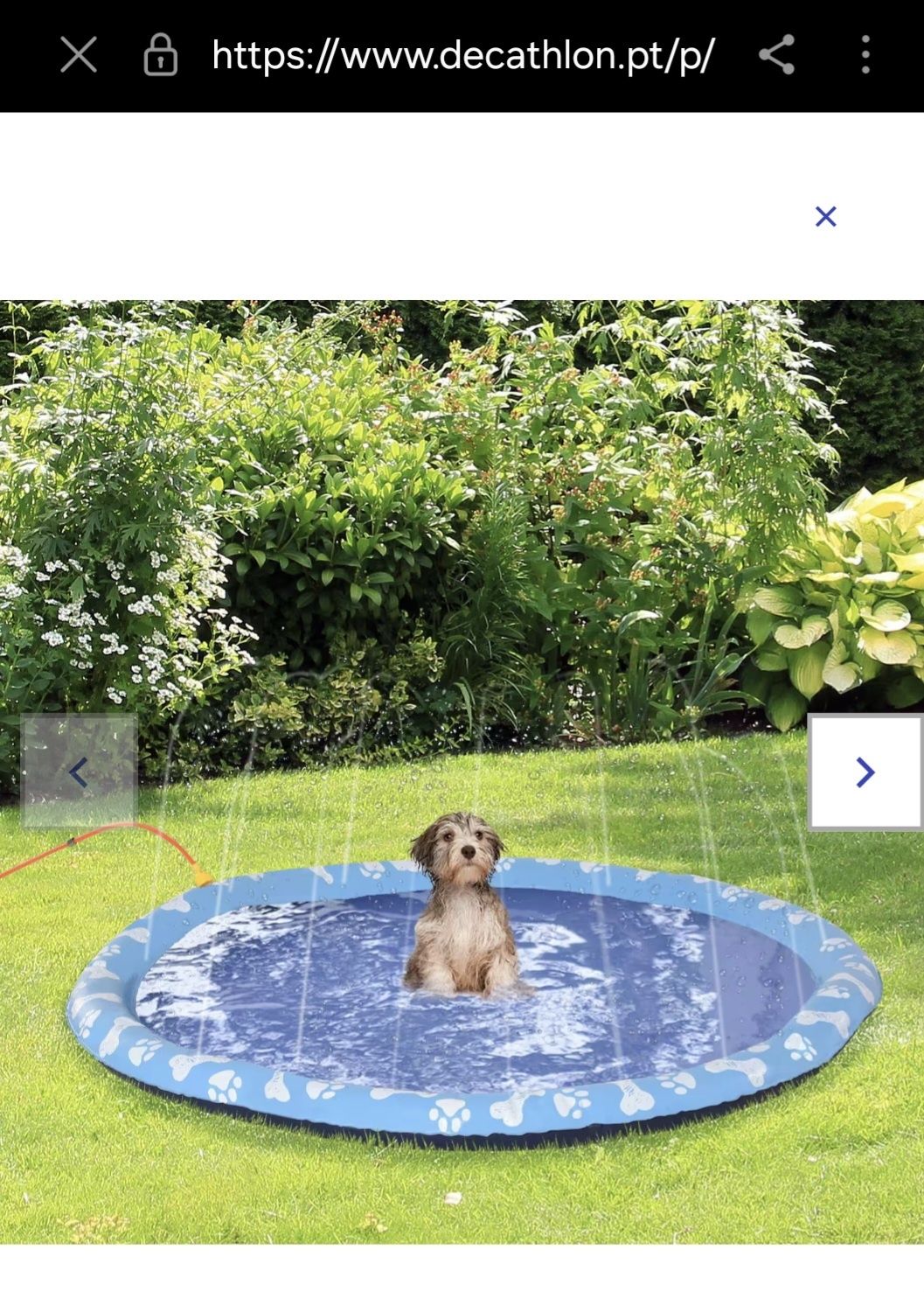 Piscina para Animais de Estimação Ø90 cm Azul