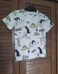 Bluzka dino tshirt chłopięcy dinozaury na kremie r 110