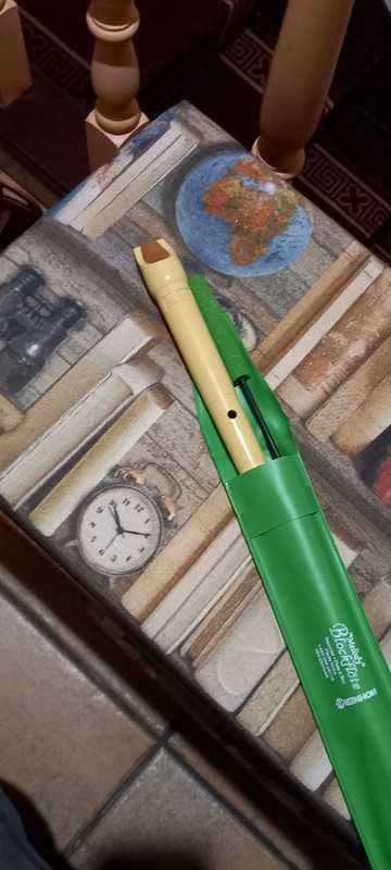 Flauta Escolar com estojo