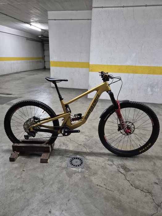 Santa cruz bronson