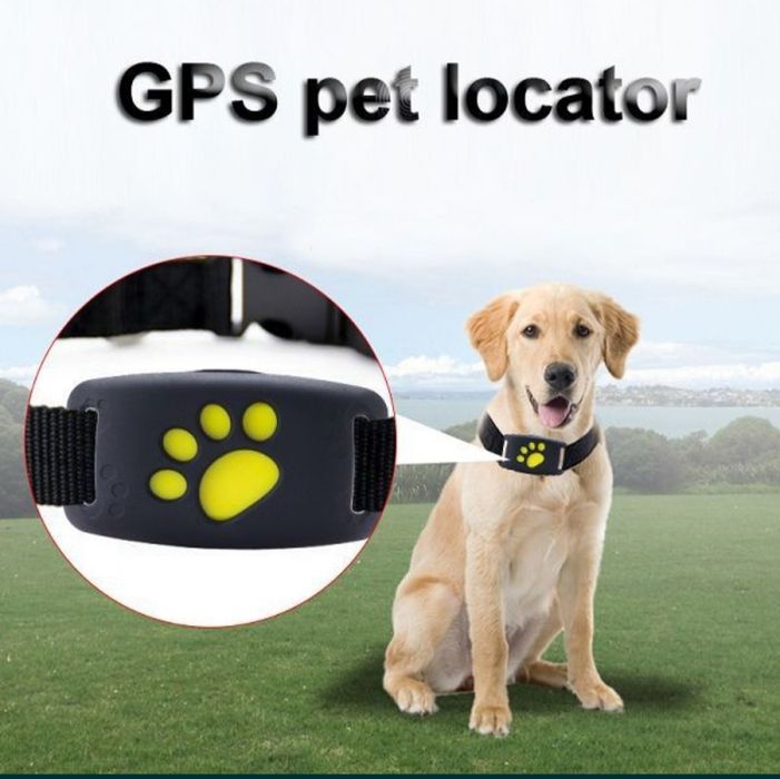 (NOVO) Localizador GPS Animais 100% Exato Cão Gato