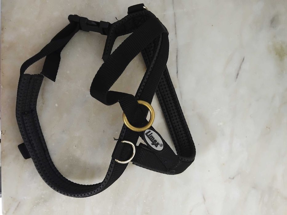 Trela hunter e peitoral limex m para cão