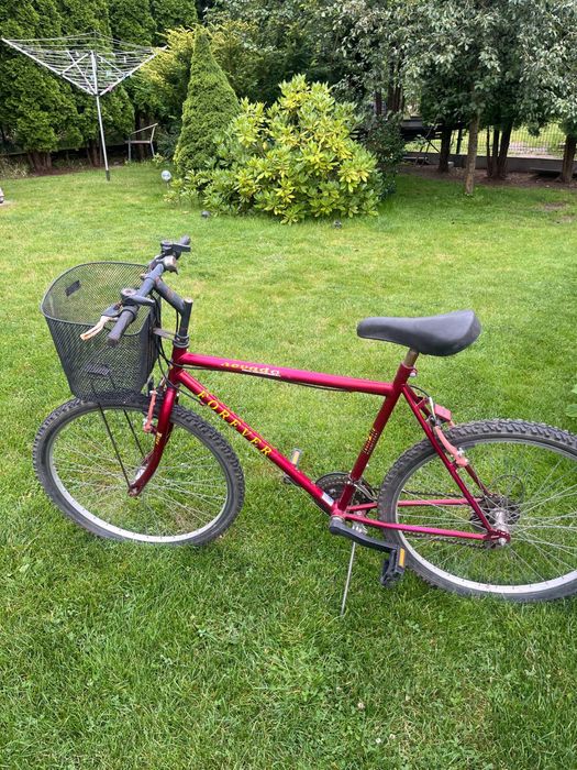 Rower NEVADA z koszykiem