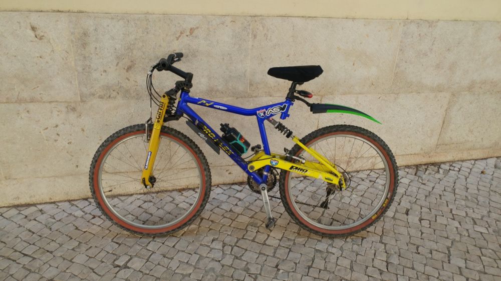 Bicicleta Pro Flex