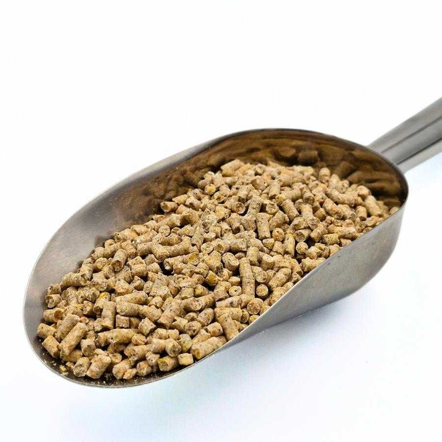PASZA GRANULAT dla kur niosek DJ - 10 kg KOJPASZ