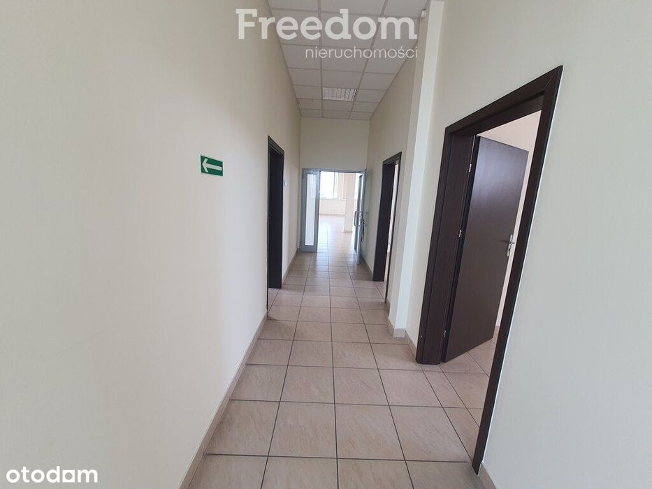 Powierzchnia biurowa/handlowa do wynajęcia, lokal