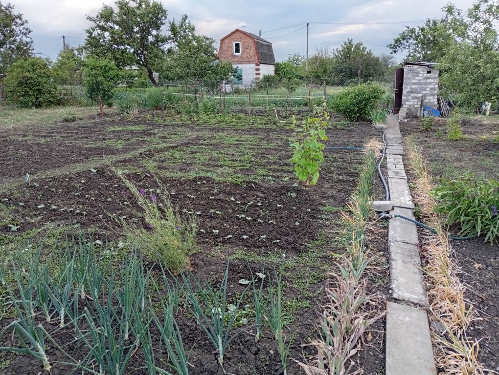 Кривий Ріг Продам дачу в Сергіївське товариство