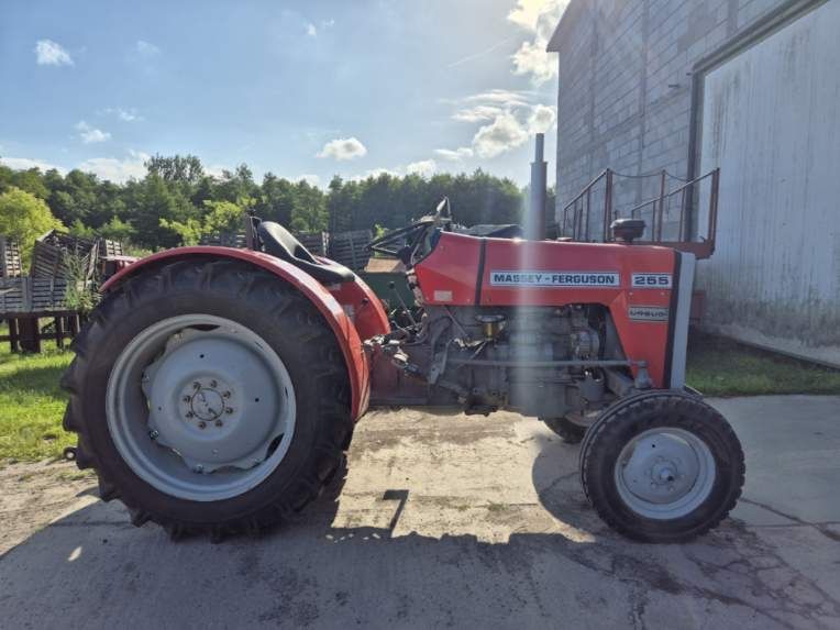 MF 255 rocznik 1987r.