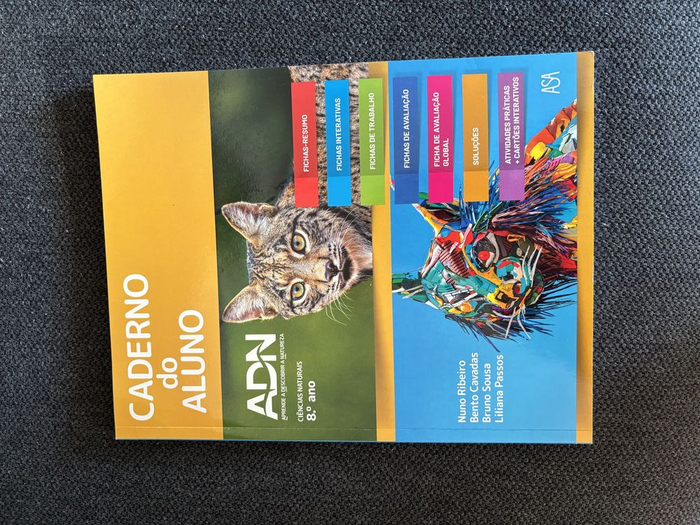 Cadernos actividades 8 ano