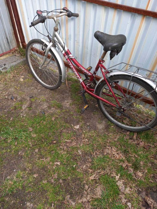 Rower koła 24 caletyp damka