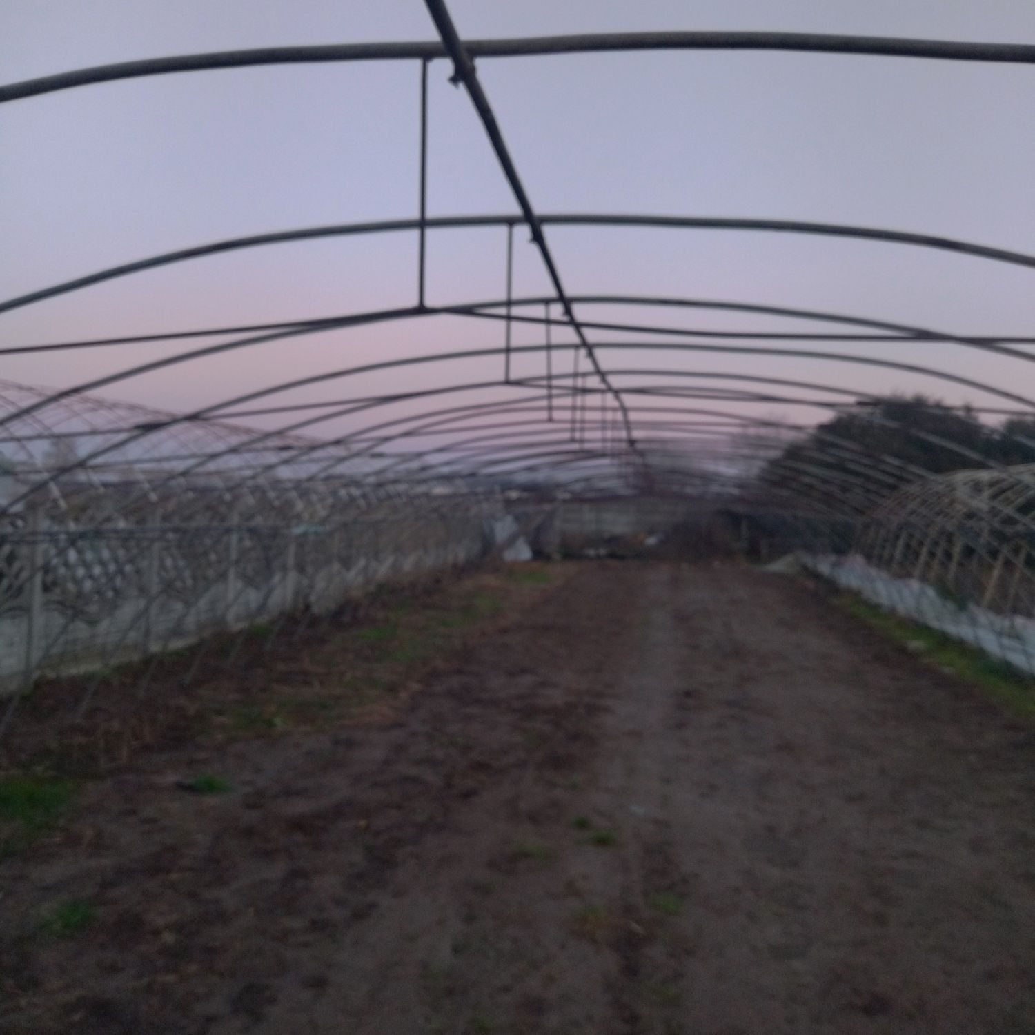 Tunel foliowy 8m x 30m ocynkowany