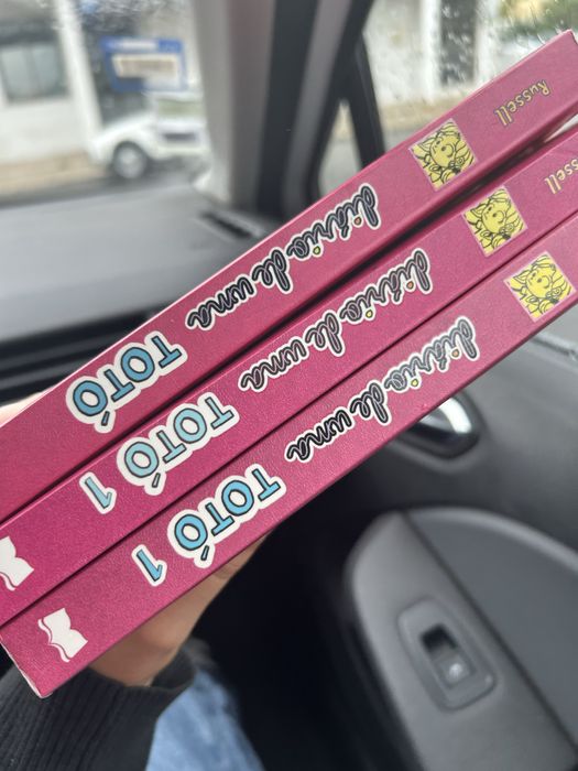 Livro “Diário de uma totó”