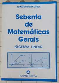 Sebenta de Matemáticas Gerais - Álgebra Linear