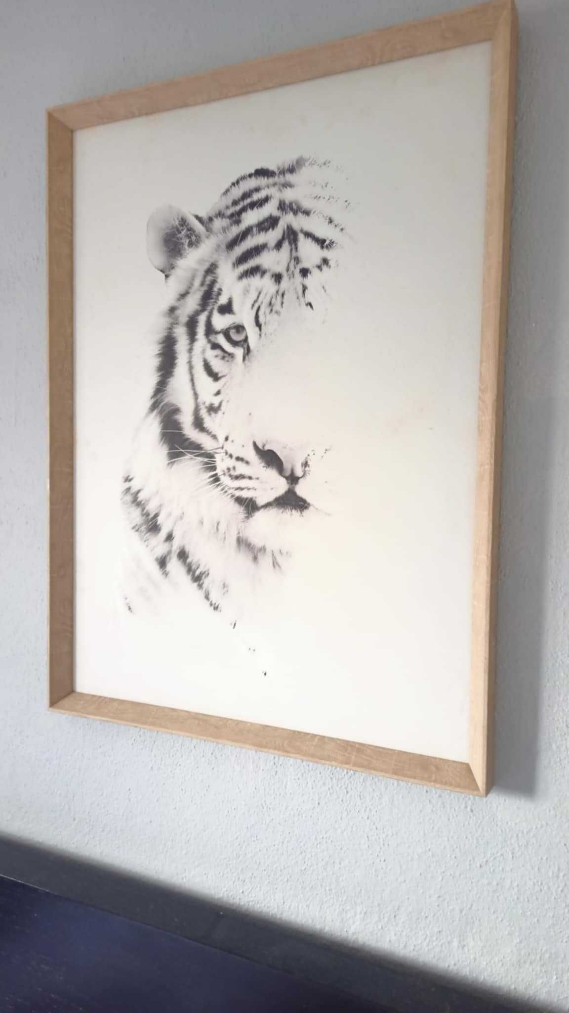 Quadro tigre Homa