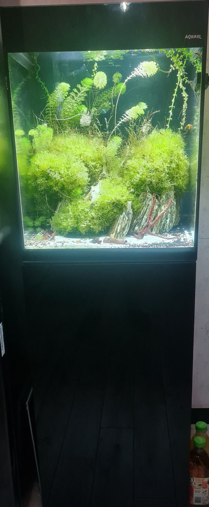Zestaw AQUAEL GLOSY CUBE ST50 + wyposażenie