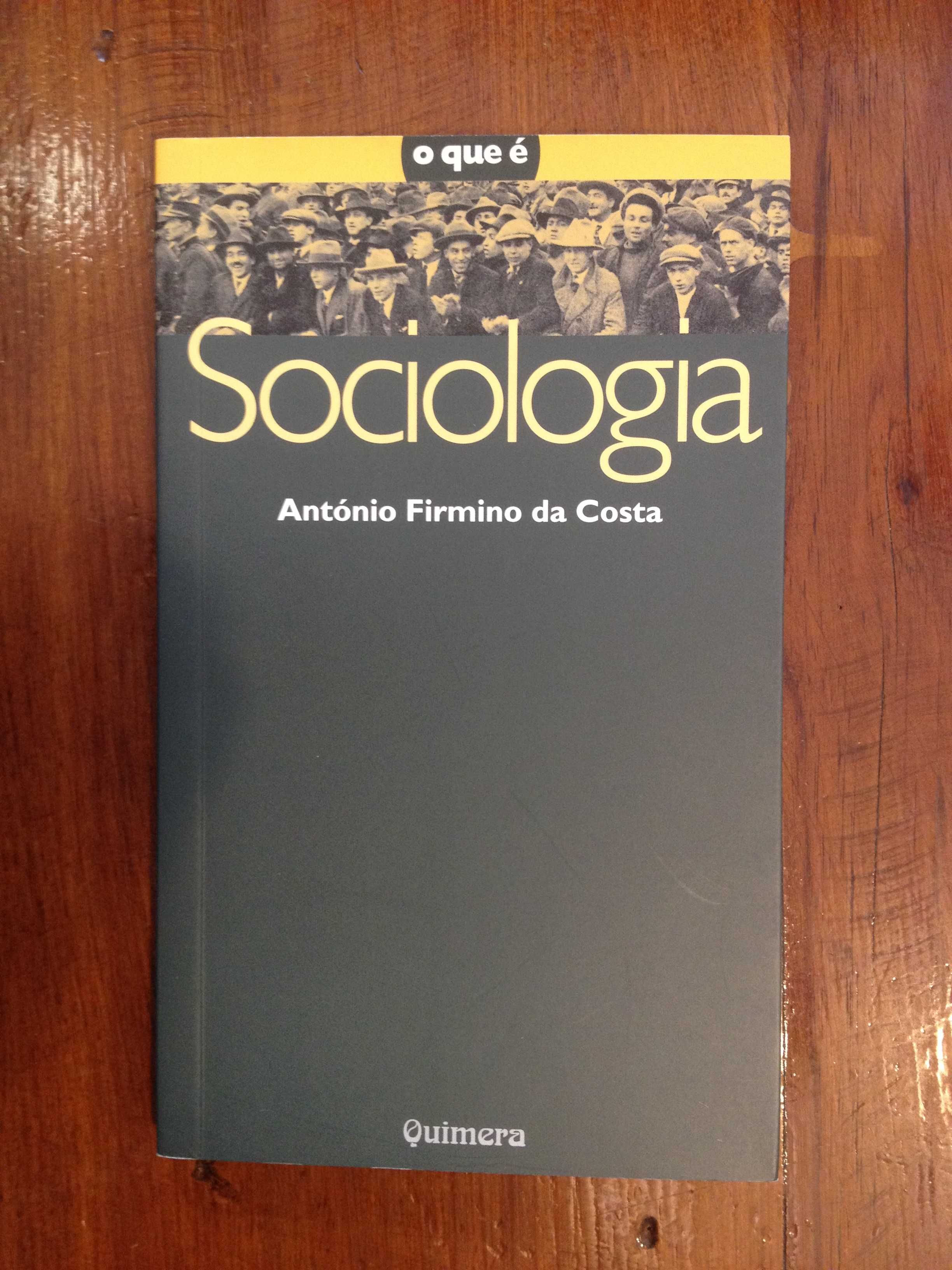 António Firmino da Costa - Sociologia