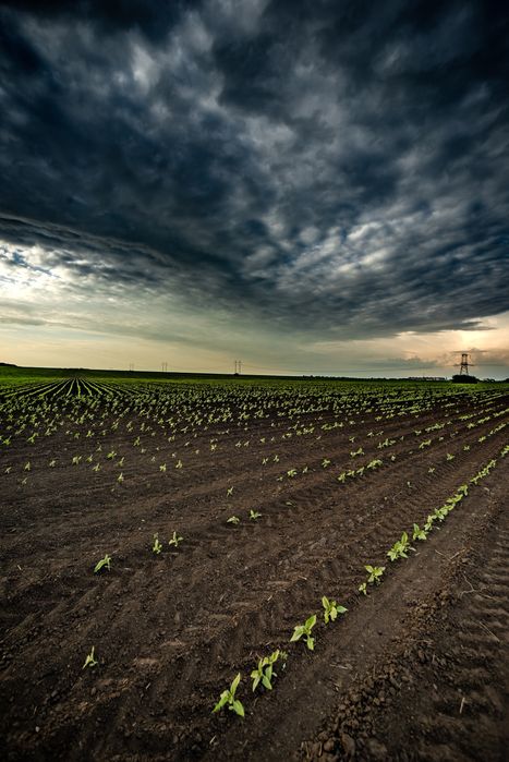 Продажа печатных фотографий А2 А3 .