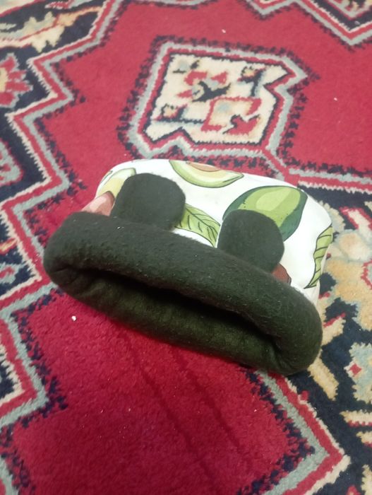 Пацюки. Морські свинки