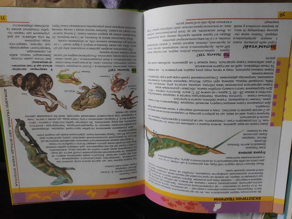 Енциклопедія для хлопчиків