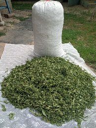 Козий жир,Мята, Орех,томатный сок