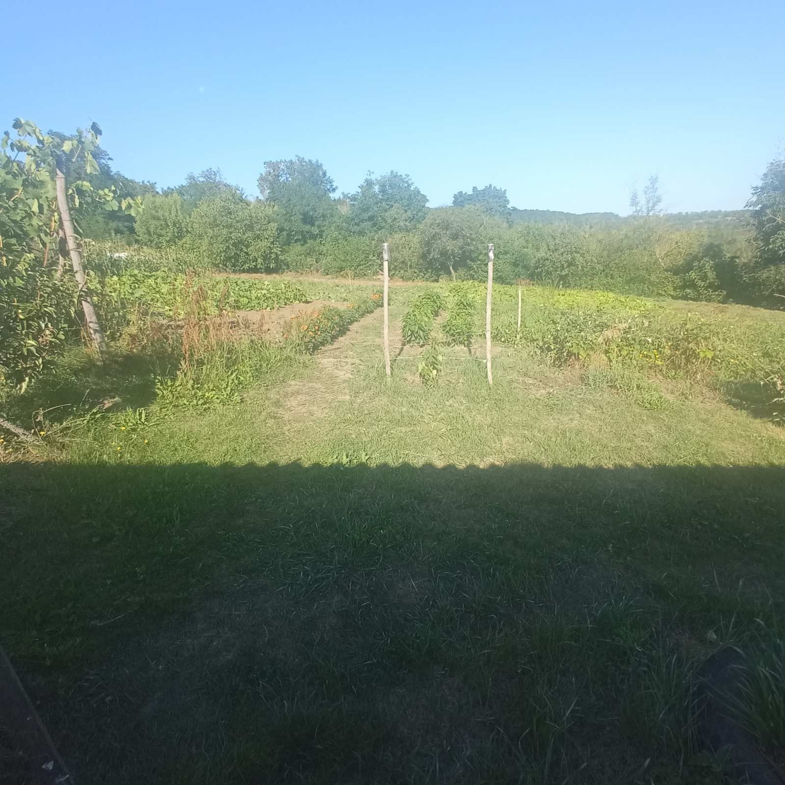 Продам будинок. с.Івонівка. Вул.Шевченка,53.