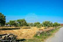 Terreno  para venda