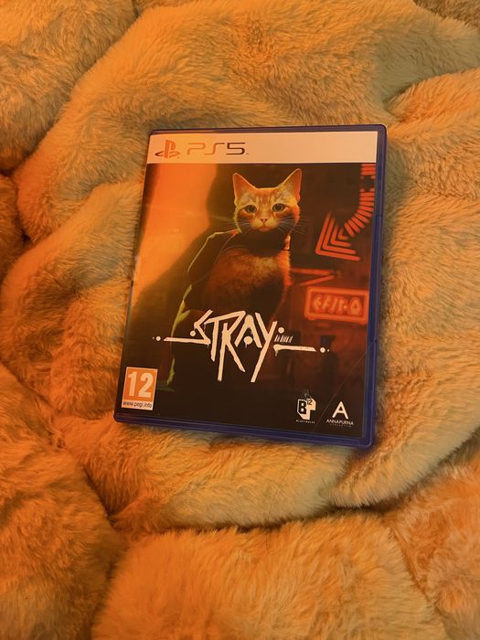 Stray ps5 игра.