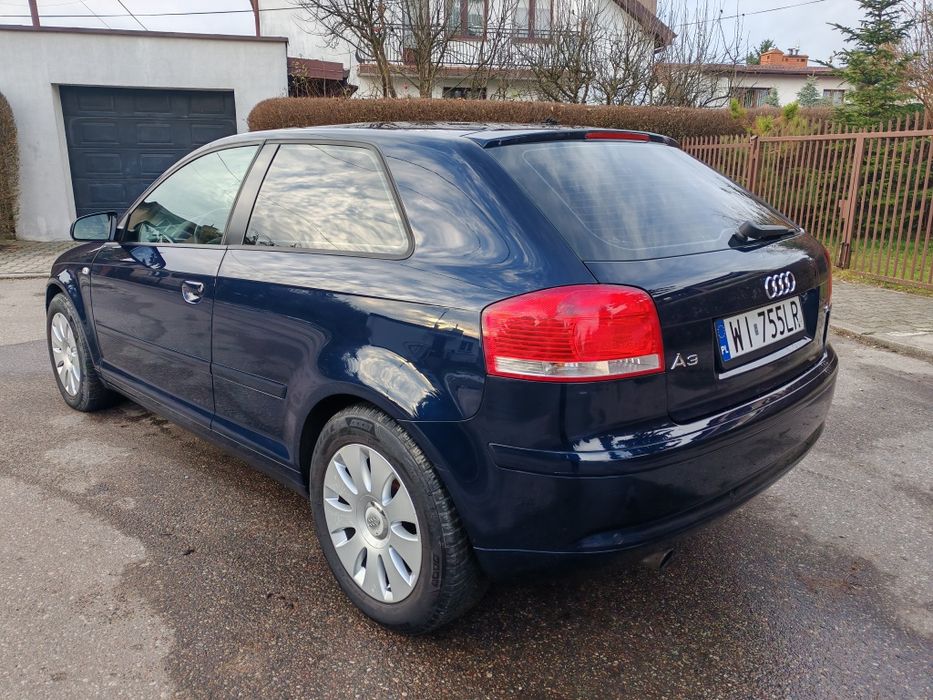 Audi A3 8P 1.6 MPI (102 KM), Benzyna, 2004 r.