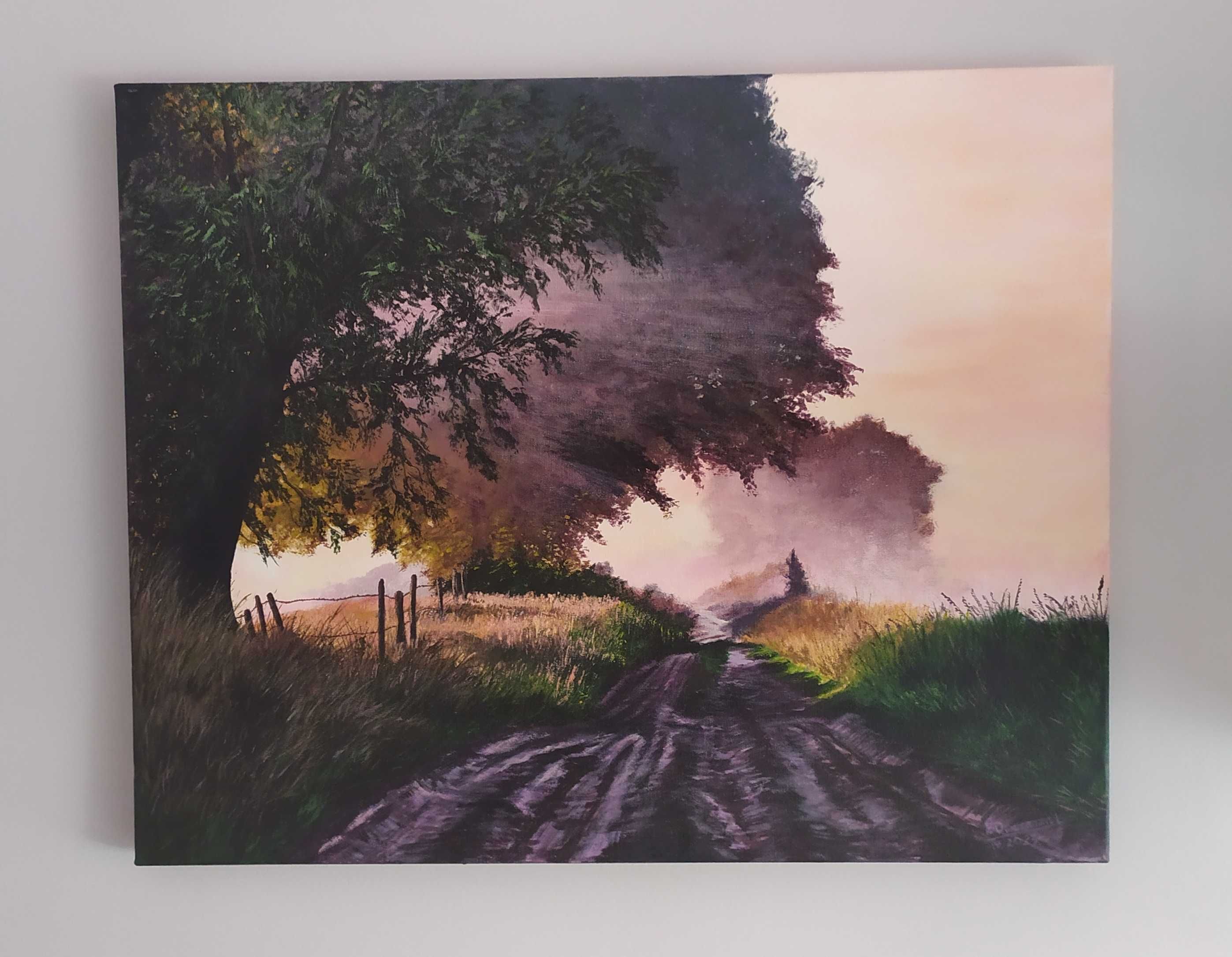 Obraz Akrylowy Pejzaż 40x50cm