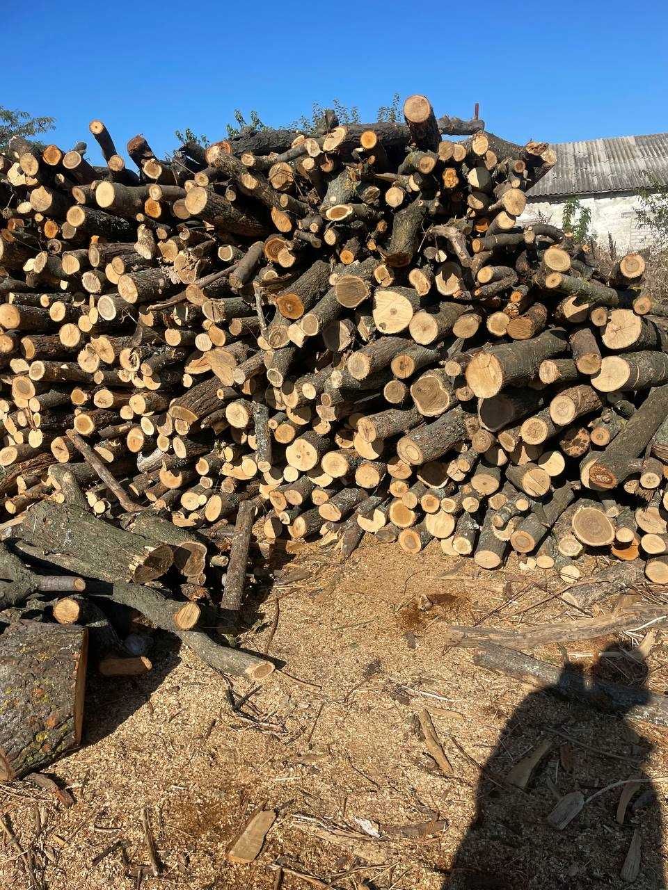 Дрова Ясень, Берест, Дуб, Акация, Клен. 6 скм