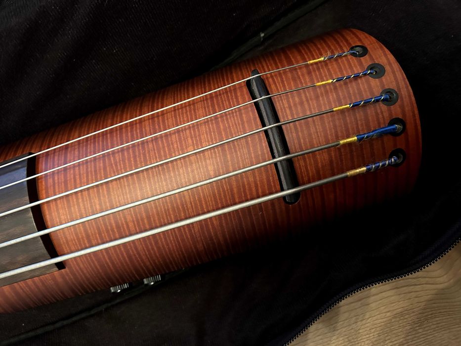 Kontrabas elektryczny NS Design NXT5