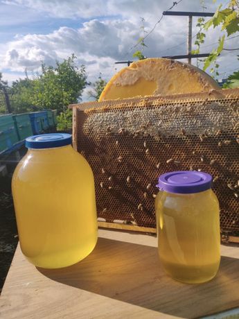Продам домашний мед майский мед с акации