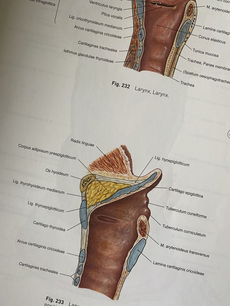 Sobotta Atlas of Human Anatomy volume 1 angielski