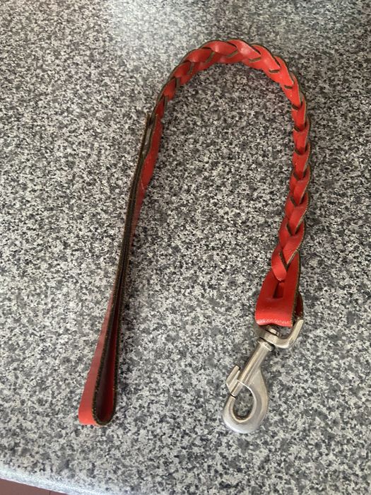 Trela para cao de grande porte