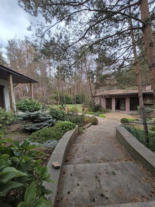 Продам шикарный дом в лесу! Обуховка! Серебряный Бор! 30 соток!