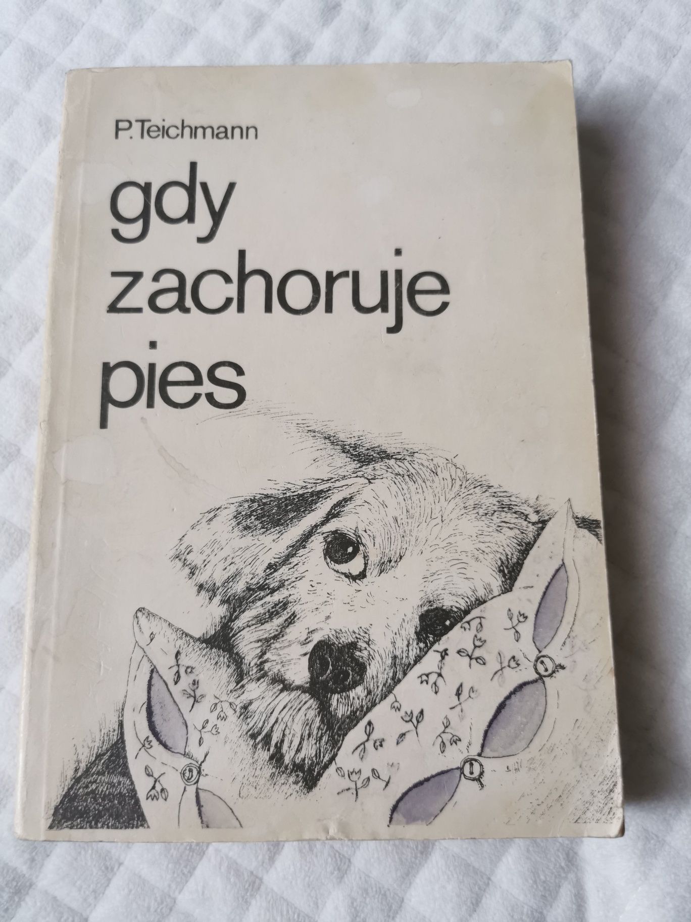 Gdy zachoruje pies