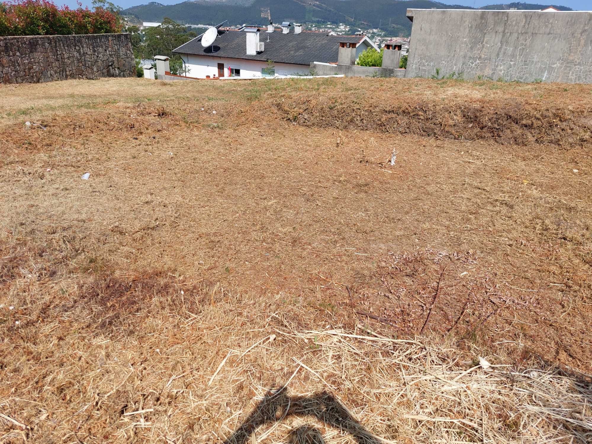 Terreno para construção no Búzio, Vale de Cambra