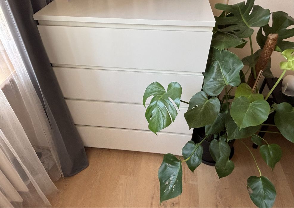 Pokoj na wynajem Katowice Ligota