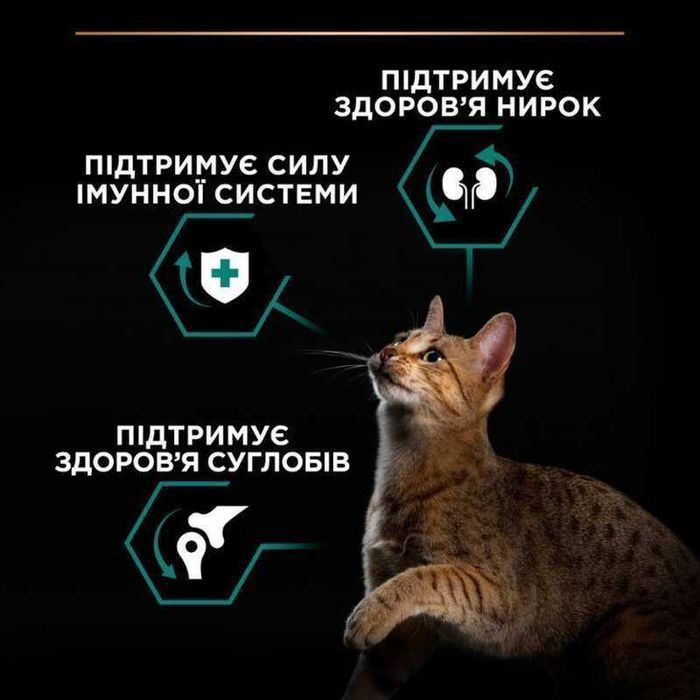 PRO PLAN Renal Plus 1.5 кг для котів з куркою