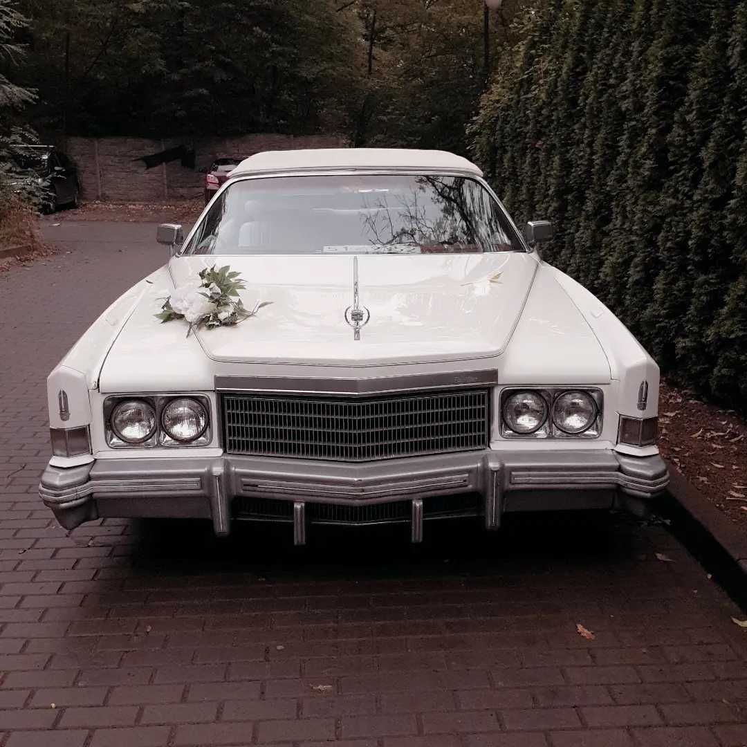 Wynajem Samochodów do ślubu / na wesele - Retro - Cadillac  - Dodge