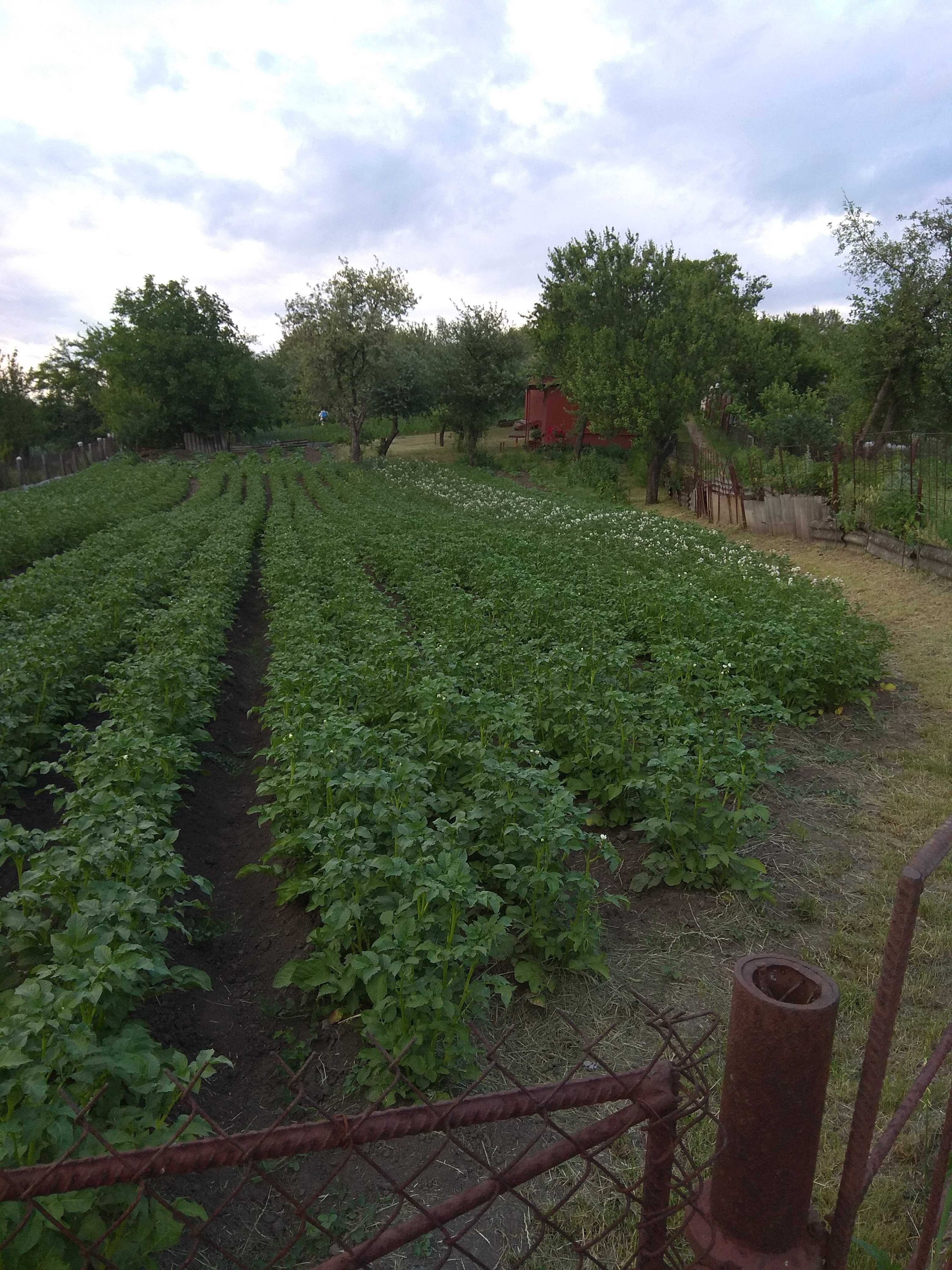 Продам дачу в районі Рибгоспа