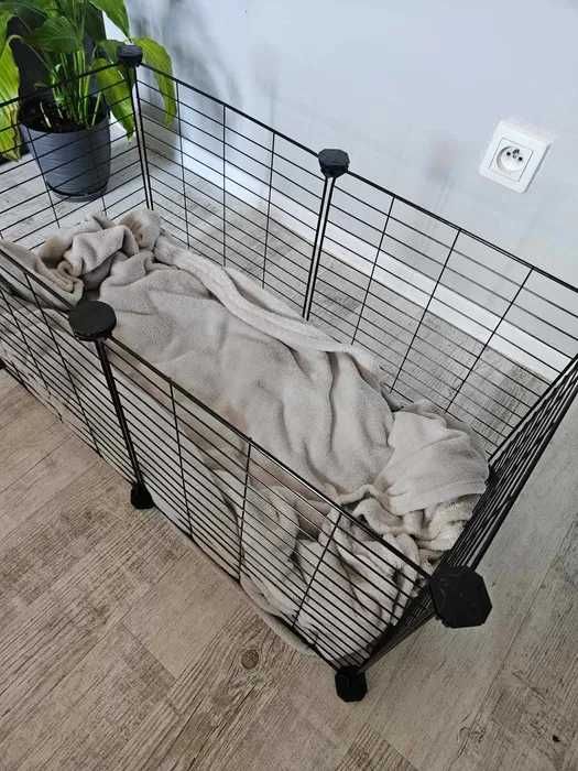 Klatka kojec wybieg dla świnki królika zwierząt modułowy