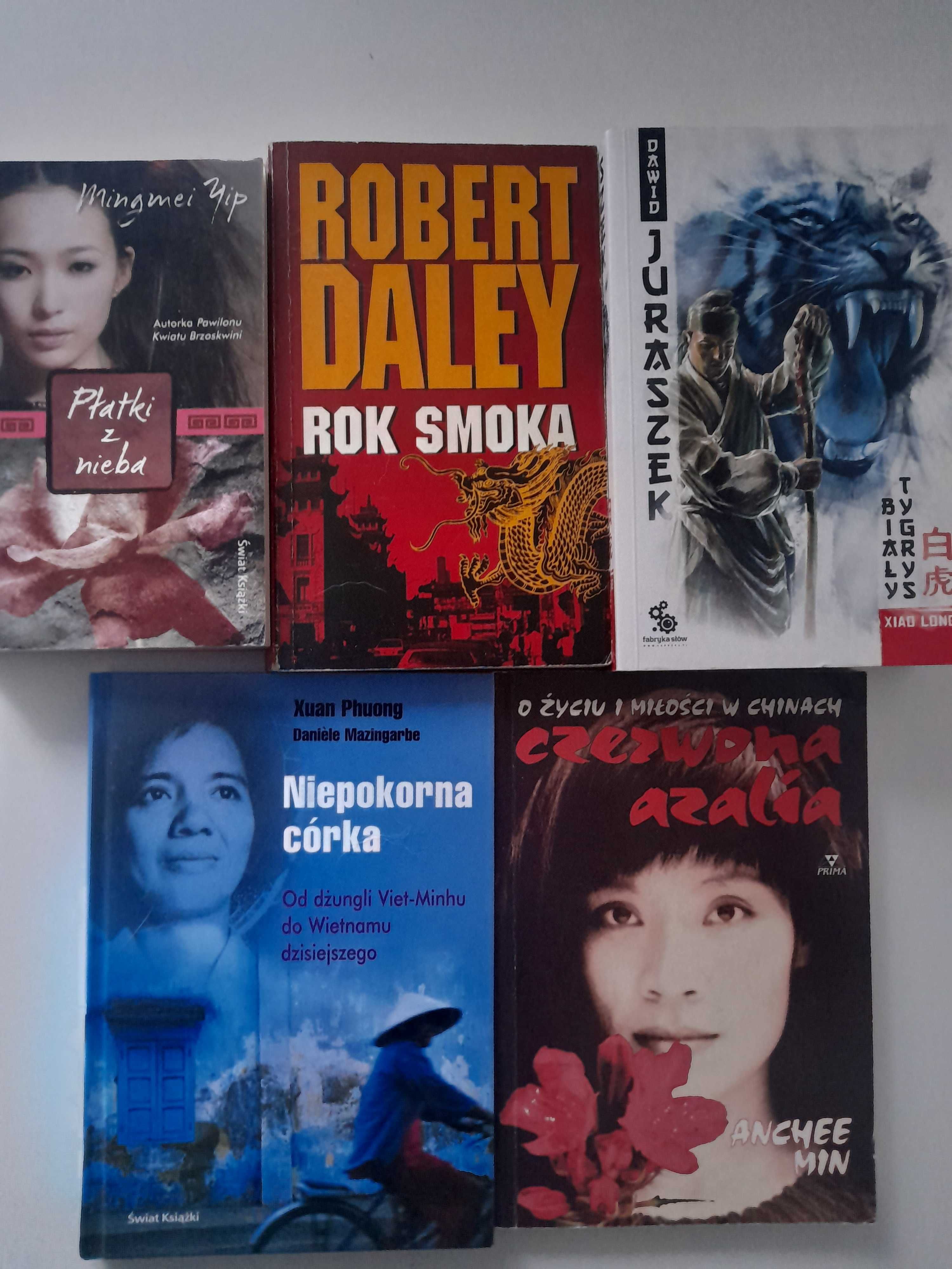 Literatura 5 książek Mingmei Yip, Robert Daley, Dawid Juraszek...