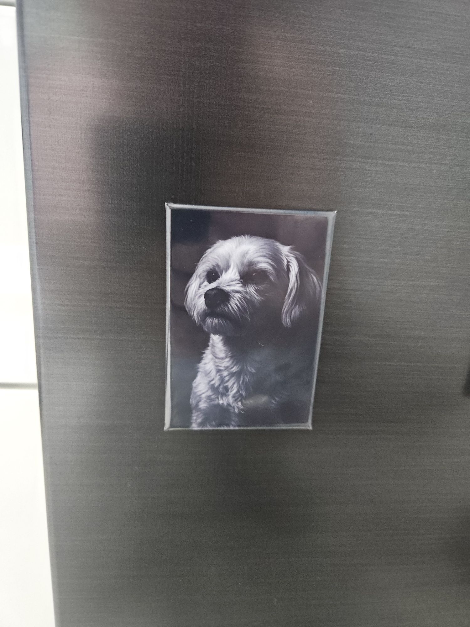 Magnesy z imprezy robione NA ŻYWO oraz robione z wysłanych zdjęć.