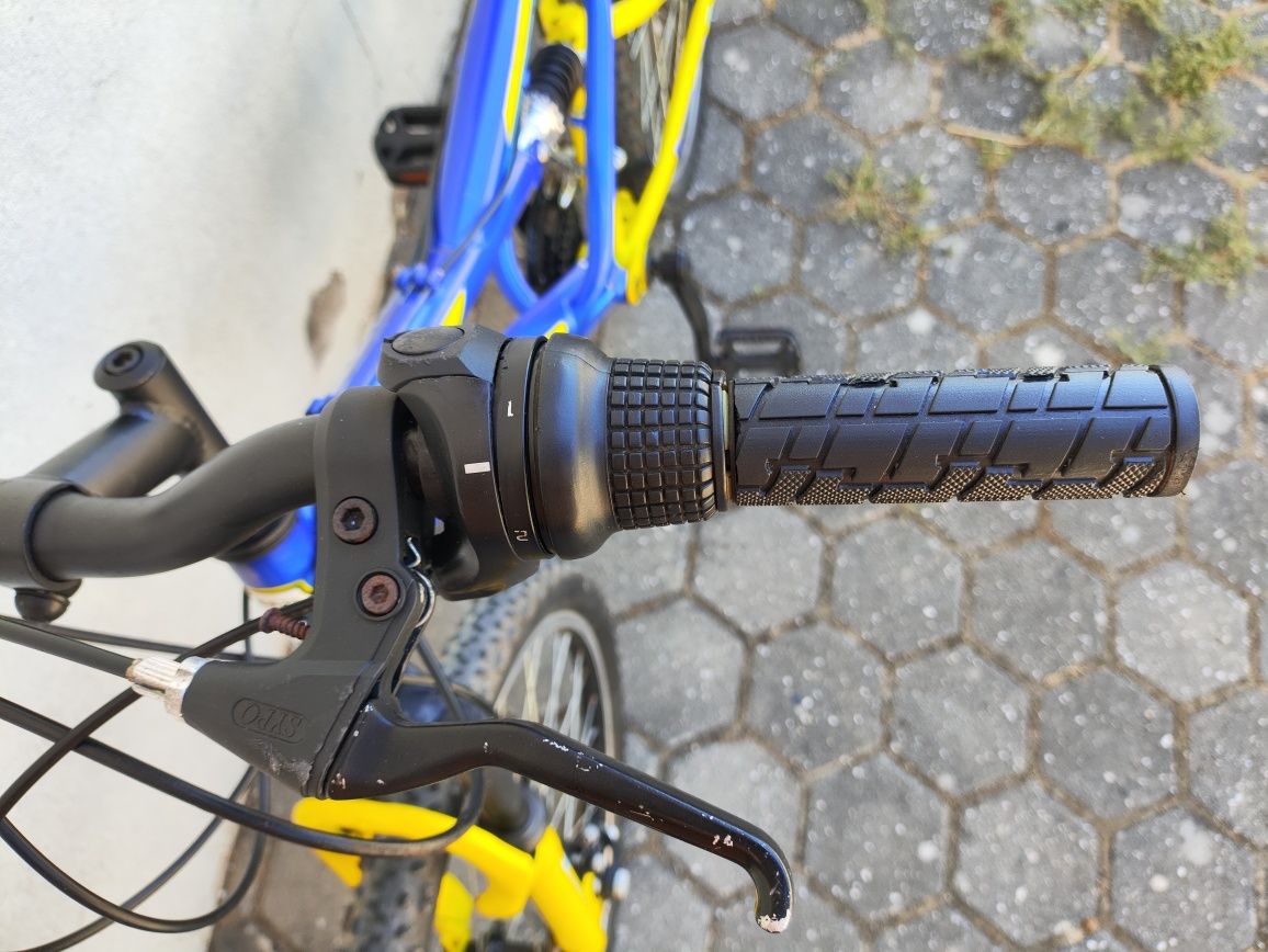 Bicicleta TEAM 26