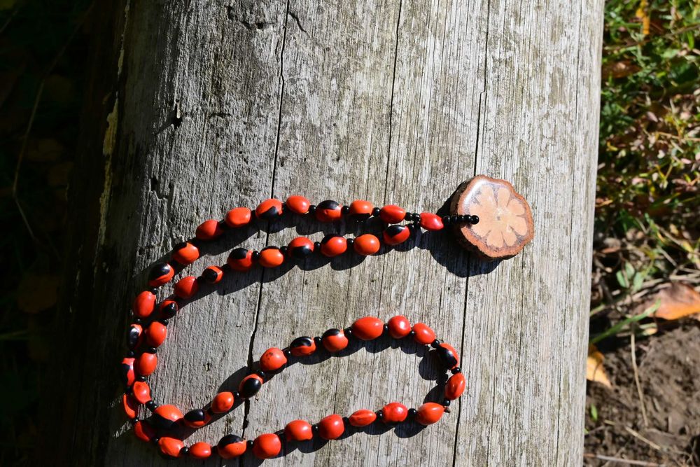 Naszyjnik mocy z Amazonii, Ayahuasca i Huayruro od Shipibo. Unisex