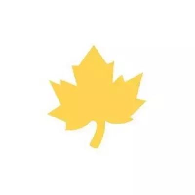 Dziurkacz ozdobny 3,7cm klon. Dalprint