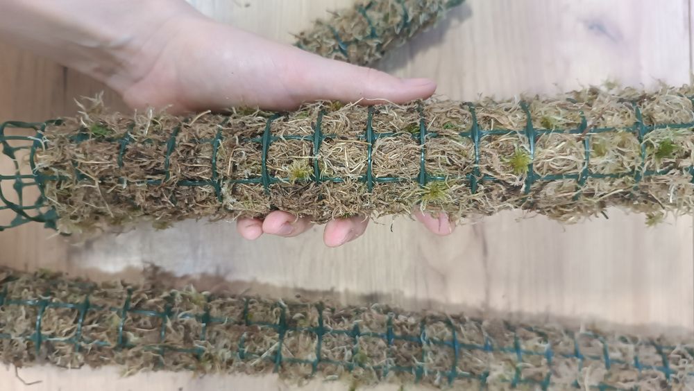 Моховий тотем для кімнатних рослин